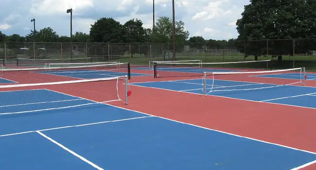 How Much Is A Pickleball Court? [+Maintain Cost]